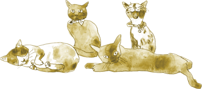 猫のイラスト